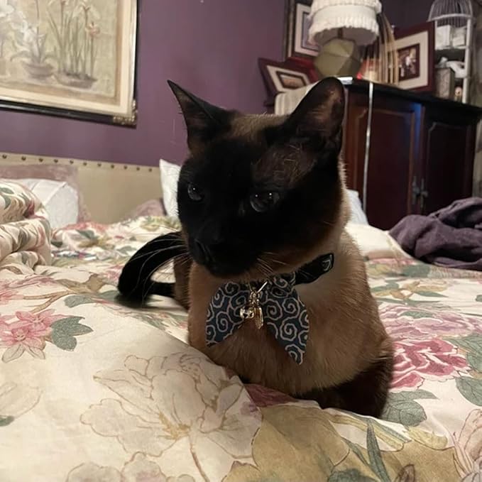 PetSoKoo Bunny Ears Cat Collar, Japan Lucky ‘開三運’ Charm. Safety Breakaway Bowtie Kitten Collar with Bell, Light Blue