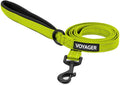 Best Pet Supplies Voyager Reflective Dog Leash or Collar with Neoprene Handle, for Small, Medium, and Large Breed Puppies, Cute and Heavy Duty for Walking, Running and Training - Lime, L