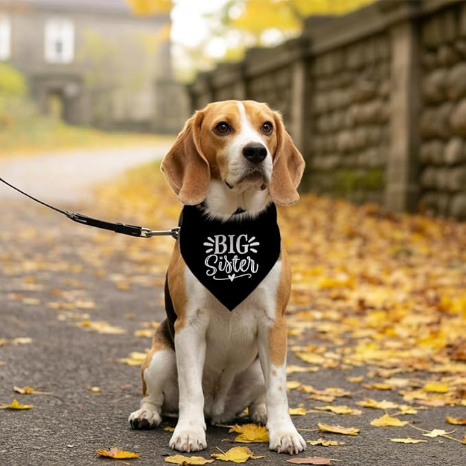 Big Sister Bandana for Dog, Pet Pregnancy Announcement, Black Dog Bandana, Big Sister Dogs Shirt, Pet Bandana for Small Medium Dogs (M)