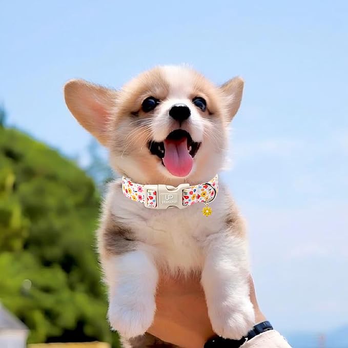 Floral Dog Collar, UP URARA PUP Colorful Floral Adjustable Pet Collar with Flower Charm, Spring Daily Dog Accessories for Small Medium Large Dogs