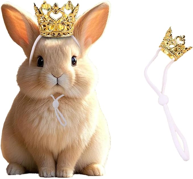 1PCS Crown Tiara Headband for Cat Dogs Puppy Birds Ducks Chicken Rabbit Hamster Pets Party Birthday Grooming Hair Accessories(Gold, Elastic)