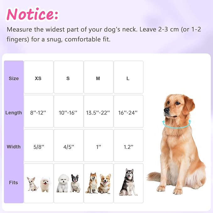 Easter Dog Collar for Mediuml Dogs, Easter & Spring Theme Medium Dog Collar with Cute Chick & Bunny Pattern, Adjustable Purple Easter Dog Collars Girl Boy Collar for Dogs -M