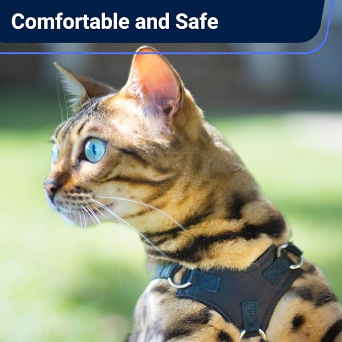 Houdini™ Escape Proof Cat Harness and Leash Set by OutdoorBengal for Walking Cats and Kittens (Vegan Leather, Kitten)