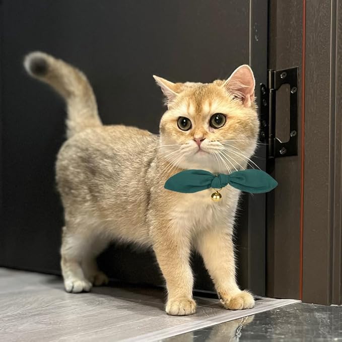 Bunny Ear Cat Collar with Bell and Bow Tie, Breakaway Cute Bowtie Kitten Collars(Dark Green)