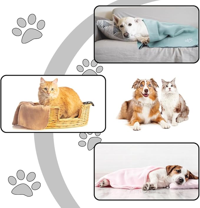 Puppy Dog Blanket, 6 Pack Pet Blankets for Dog Puppy Cats Pets Fleece Blanket Paw Print Dog Blanket for Small Medium Large Pet Dog Cat Warm Soft Sleep Mat (Multicolored 39 x 35 inches)