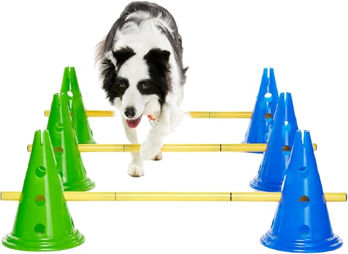 FitPAWS Ball Dynamics CanineGym Agility Kit