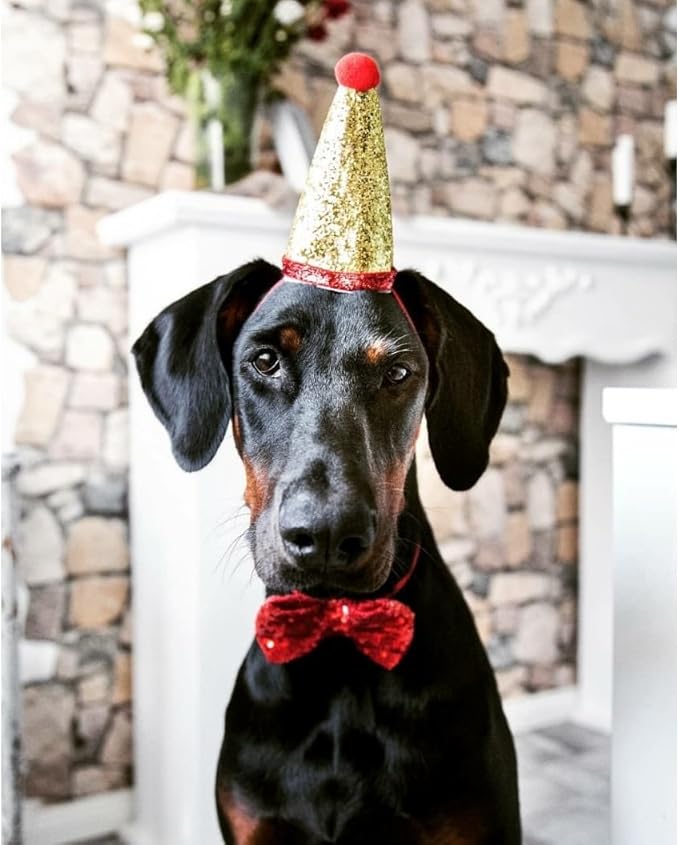 Stock Show Pet Cute Birthday Party Cone Hat and Bow tie Collar Set with Adjustable Headband and Pom-poms Topper for Small Medium Dogs Cats Pets (Red)