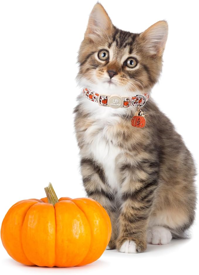 Fall Cat Collar-2Pack Autumn Kitten Collars-Halloween Breakaway Pumpkin Kitty Collars-Cute Pumpkin and Maple Leaf Pendants,Maple Leaf Cat Collar with Bell, for Girl & Boy Cats