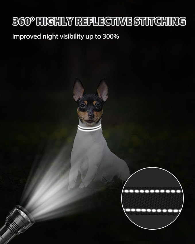 Joytale Small Dog Collar, Reflective and Adjustable Nylon Collar with Quick-Release Buckle, Lightweight No-Choke Design for Puppy and Extra Small Dogs, Black, XS