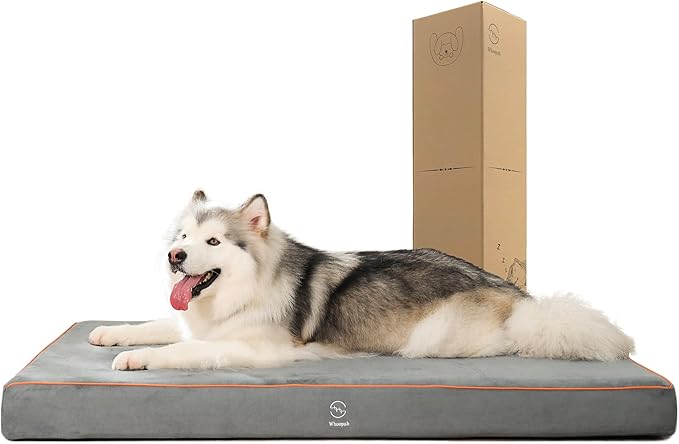 Hard-Wearing Orthopedic Dog Bed for Crate, 53x36 Inch, Made of Memory and HR Foam, Two-Sided Use, Providing Soft and Relatively Hard Support, with an Extra Inner Waterproof Protector (Gray)