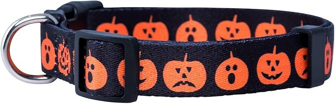 Native Pup Halloween Dog Collar- Spooky Fall Themed Horror Costume Collars- Skull, Pumpkin, Ghost, Bat, Witch, Candy Corn, Spider- Adjustable for Small, Medium, Large Breeds (Medium, Big Pumpkins)