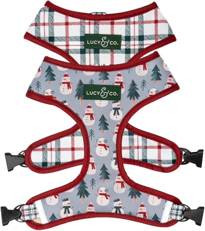 Lucy & Co. Cute Reversible Dog Harness Walking Halter - Best Designer Pet Harnesses for XS - XL Dogs - Padded Adjustable Vest for Easy Walking-X-Small-Gray & White Snowman