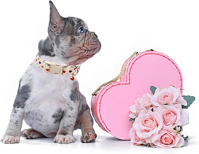 DOGWONG Valentine's Dog Collar-Hearts Print Dog Collar for Large Cute Dog Collars Spring Female Male Pet Gift Adjustable Heavy-Duty Soft Collar，M
