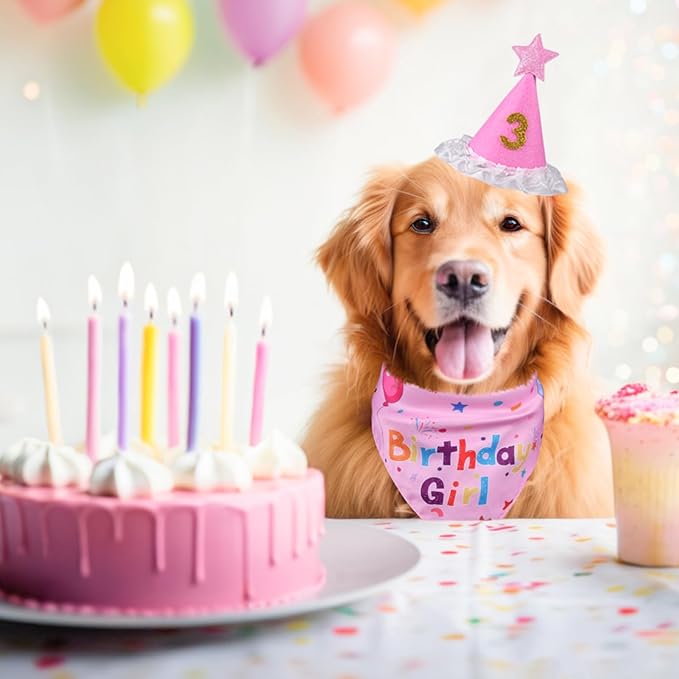 Dog Boy Girl Birthday Party Hat, Dog Birthday Party Supplies, Doggie Birthday Bandana Set with Numbers for Gaint and Extra Large Puppy (Pink)