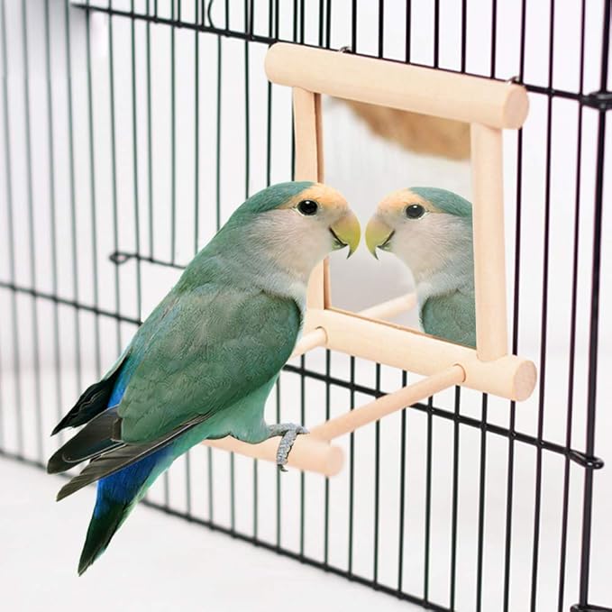 HANZE Bird Mirror With Swing, Hummingbird Perches for Parrots Stand, Wooden Toy for Macaws, Lovebird, Cockatoo, Parakeet, Conure, Finch, Cockatiels - 4 Pack
