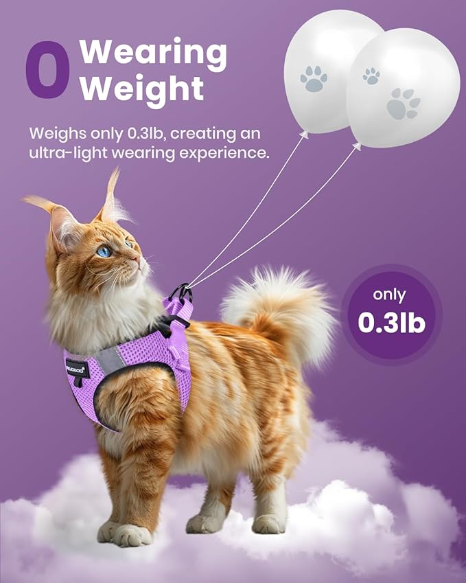 FAYOGOO Cat Harness, Cat Leash and Harness Set for Walking Escape Proof, Harness for Small Cats/Small Dogs, Large Kitten/Puppy Harness and Leash, Harness for Cats S-XXL(Modern Violet, XX-Large)