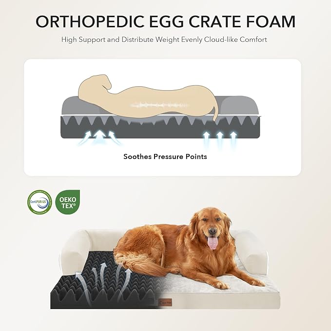 Orthopedic Dog Beds for Large Sized Dogs, Waterproof Egg Crate Foam Medium Dog Couch Beds for Crate 35x22Inch, Washable Pet Beds with Removable Cover and Nonskid Bottom, Beige