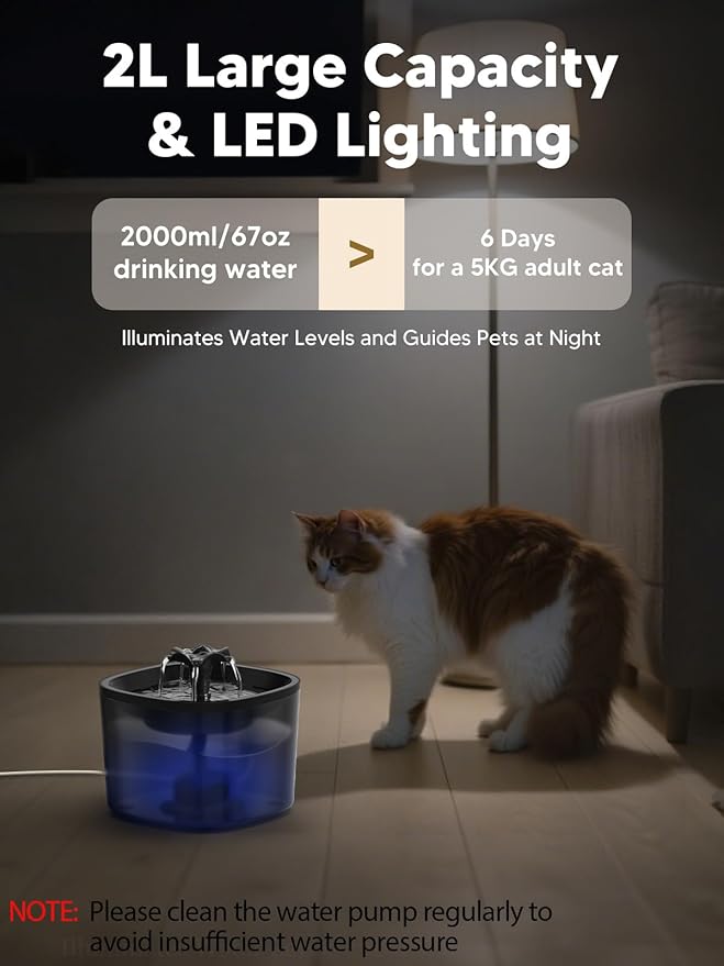 Automatic Cat Feeder and Water Fountain, 4L/16 Cups Timed Cat Dry Food Dispenser, 10s Meal Call, 20 Portions 6 Meals Per Day, 2L Cats Fountains for Drinking with Filter, Pet Feeder for Dog, Sooty