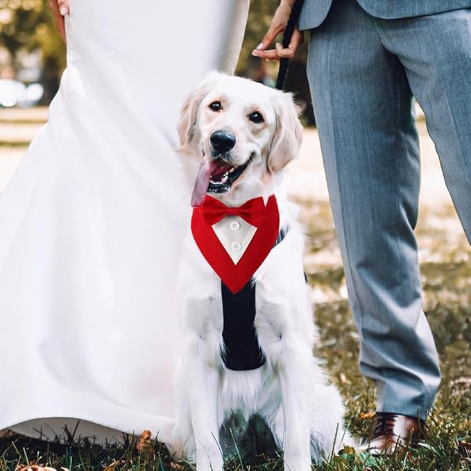 Dog Wedding Bandana, Formal Dog Tuxedo Adjustable Pet Collar with Bow, Small, Medium and Large Wedding Clothing, Birthday Gifts for Dogs (Small, Red)