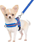 SlowTon No Pull Small Dog Harness and Leash Set, Puppy Soft Vest Harness Neck & Chest Adjustable, Reflective Lightweight Harness & Anti-Twist Pet Lead Combo for Small Medium Dogs (DB-Front Clip, S)