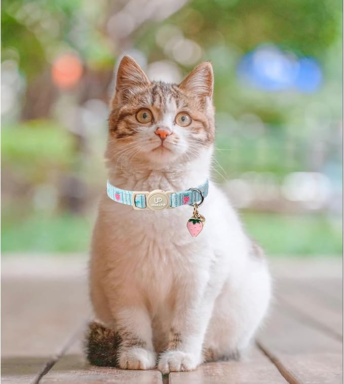 Cat Collar, Pack of 2 Summer Kitten Collars-Cute Lime and Strawberry Pendants-Breakaway Kitty Collars,Cat Collar with Bell, for Girl & Boy Cats