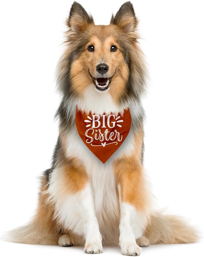 Big Sister Bandanas for Dog, Pet Pregnancy Announcement, Dark Orange Dog Bandana, Dogs Baby Announcement, Pet Bandana for Large Dogs (L)