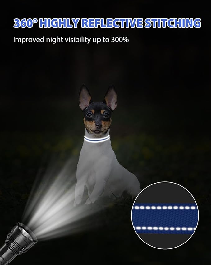 Joytale Small Dog Collar, Reflective and Adjustable Nylon Collar with Quick-Release Buckle, Lightweight No-Choke Design for Puppy and Extra Small Dogs, Navy Blue, XS