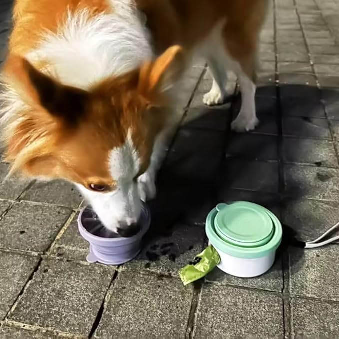 3 in 1 Collapsible Dog Bowl, Treat Container, Poop Bag Holder with 1 Roll Poop Bags – Practical Silicone Dog Bowl, – Durable Pet Bowls for Travel Essentials, Daily Walks (Pink)