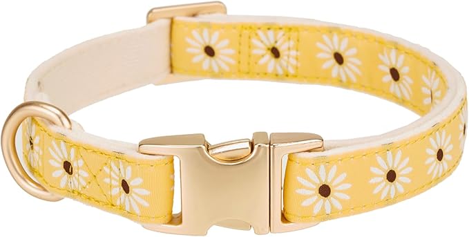 Woven Dog Collar with Metal Buckle Adjustable Jacquard Retro Dog Collars for Small Medium Large Dogs(Daisy,S)