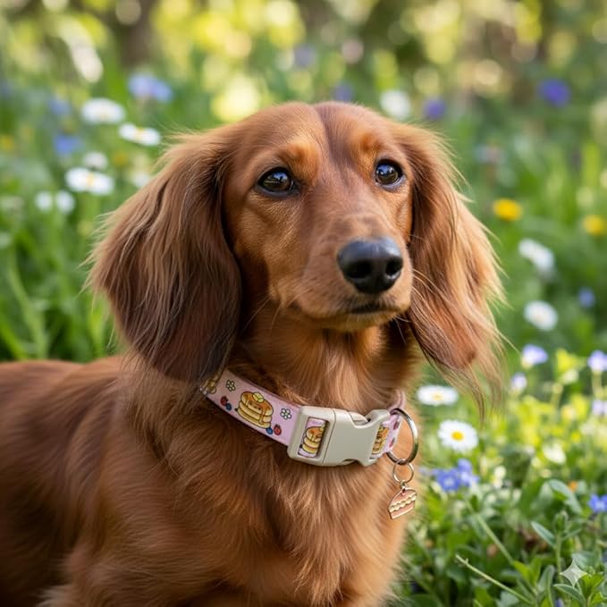 Pink Dog Collar, Girl Dog Collar with Pancake Print, Cute Spring Summer Food Collar with Soft & Breathable Fabric, Adjustable Pet Collar for Small Medium Large Dogs