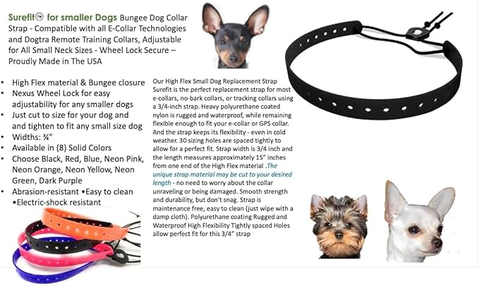 Replacement GPS eCollar with Adjustable Bungee, Multi-Hole Design, and Secure Toggle Closure for Small Dogs (Blue, Small Neck) Reflective
