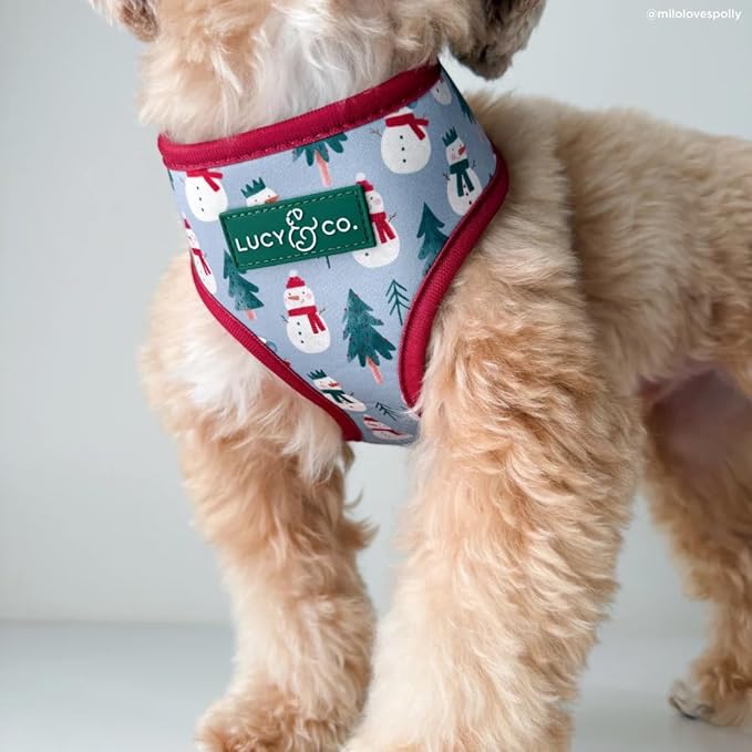 Lucy & Co. Cute Reversible Dog Harness Walking Halter - Best Designer Pet Harnesses for XS - XL Dogs - Padded Adjustable Vest for Easy Walking-Medium-Gray & White Snowman