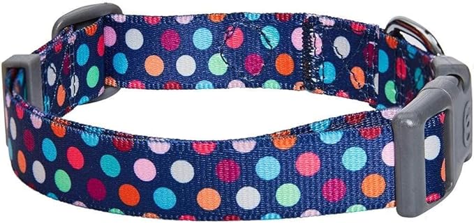 Blueberry Pet Essentials Rainbow Polka Dots Adjustable Dog Collar, Large, Neck 18"-26"
