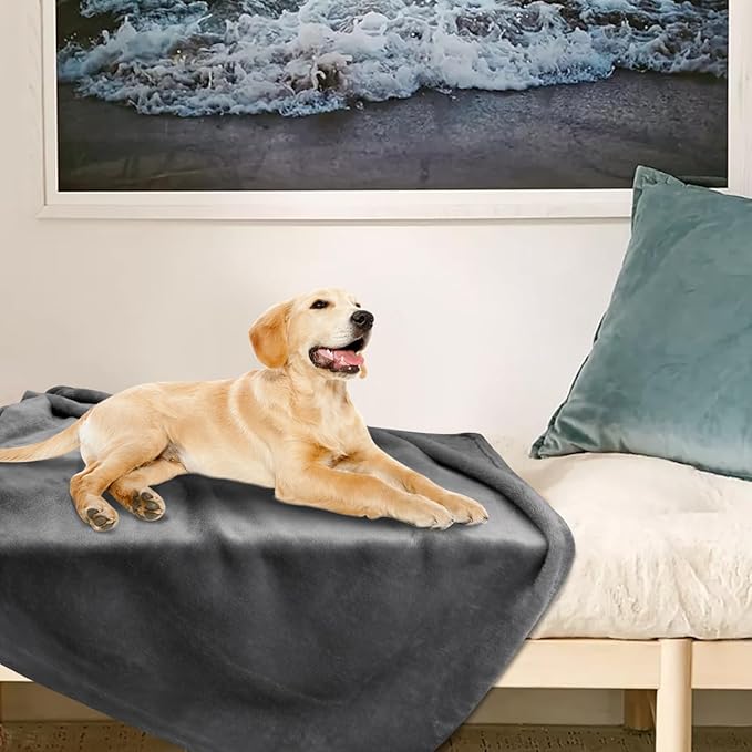 Onarway Dog Blanket Washable for Bed: 2 Packs Dog Blankets 40”x47” - Fluffy Soft Large Throw for Cat Puppy Kitten Dogs - Fleece Pet Blankets for Crate Couch Car and Indoor - Grey