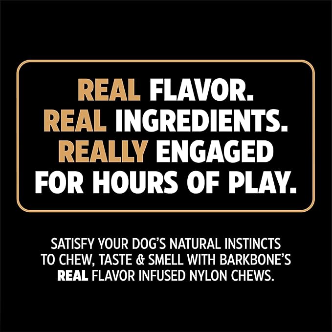 Pet Qwerks Nylon Stick BarkBone - Durable Dog Toys for Aggressive Chewers - Peanut Butter Flavor - 10.75"