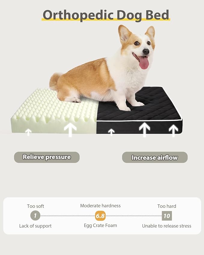 Orthopedic Dog Beds Large Sized Dog Waterproof Pet Kennel Pad with Removable Washable Cover and Non-Slip Bottom, 35x23 Inch, Black