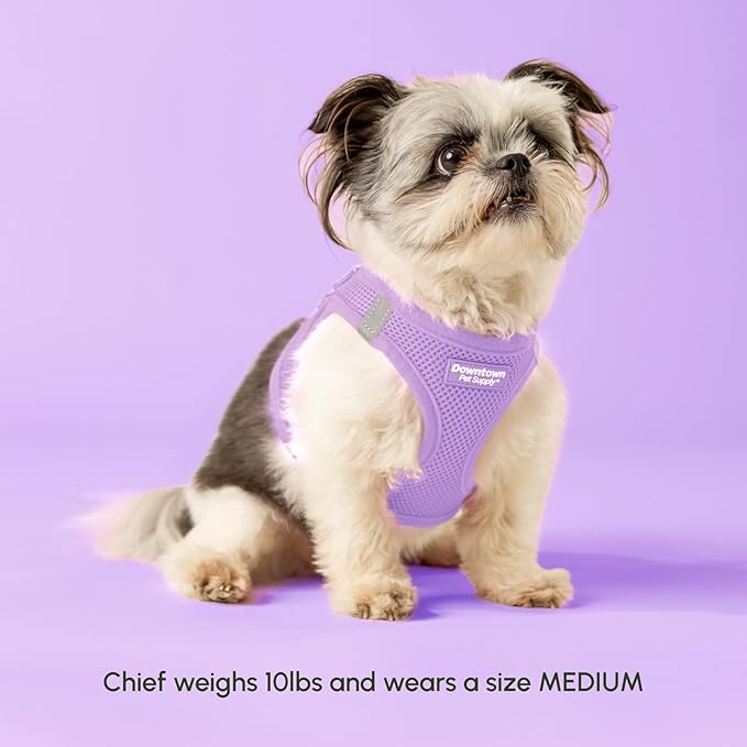 Downtown Pet Supply Step in Dog Harness for Small Dogs - Adjustable, Escape Proof Dog Harness with Reflective Trim - All-Weather, Fast-Drying Padded Mesh Fabric - Lilac, XXS