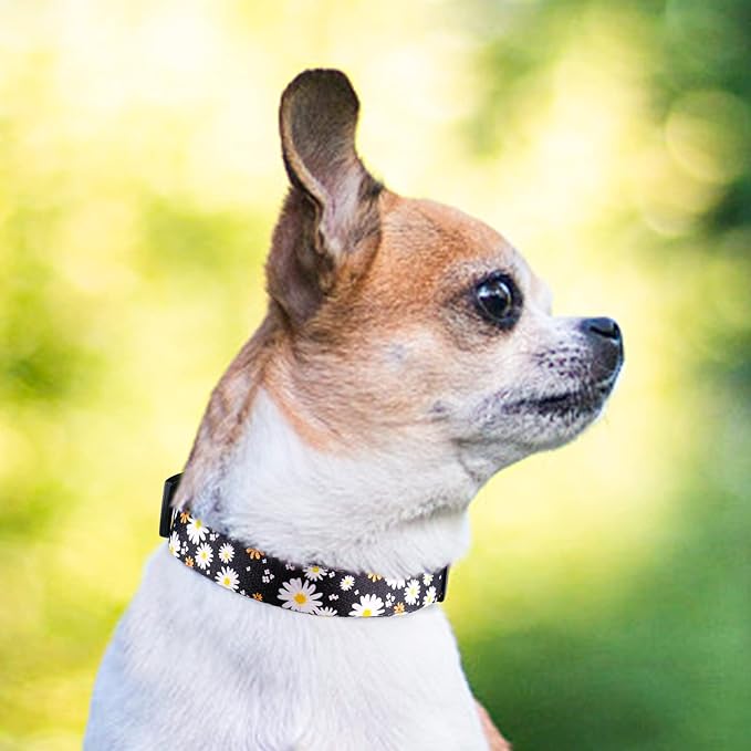 QQPETS Adjustable Soft Dog Collar: Print Flower Pink Multicolor Cute Patterns for XS Small Medium Large Pet Girl Boy Puppy Walking Running Training (S, White Daisy)