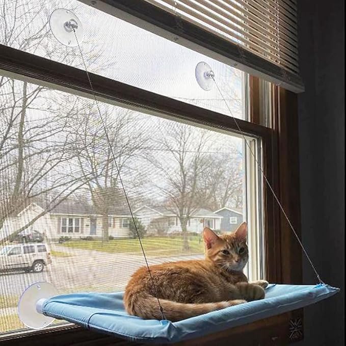 Cat Hammock with Suction Cups - Window Bed & Perch for Indoor Cats - Space Saving Window Seat - Blue