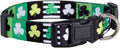 Native Pup St Patricks Dog Collar- Saint Patrick Green Shamrock Pet Collars- St. Patrick’s Lucky Irish- Adjustable for Small, Medium, Large Breeds (Patterned Shamrock, Medium)