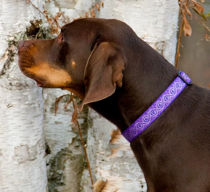 LupinePet Originals 1" Jelly Roll 12-20" Adjustable Collar for Medium and Larger Dogs