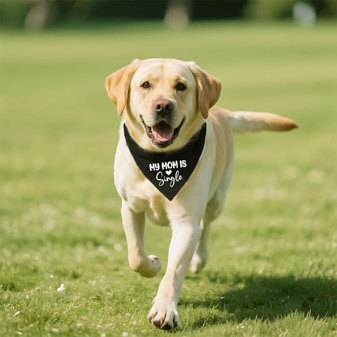 My Mom is Single Funny Dog Bandana, Valentine's Day Dog Bandana, Adjustable Pet Scarf Pet Accessories for Dogs Lovers Single Mom, Funny Valentine's Birthday Gifts for Mother Dogs Lovers