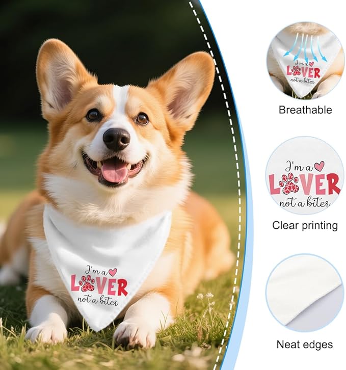 I'm a Lover Not A Biter Funny Dog Bandana, Cute Valentine's Day Dog Bandana, Love Hearts Pet Scarf Accessories for Dogs Boys Girls, Pink Valentine's Day Birthday Gifts for Pet Mom Dad