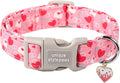 Unique style paws Valentine's Day Dog Collar Plastic Buckle Collar with Pendant Love Letter Lock Gift Wedding Small Medium Large Boys Girls Dogs