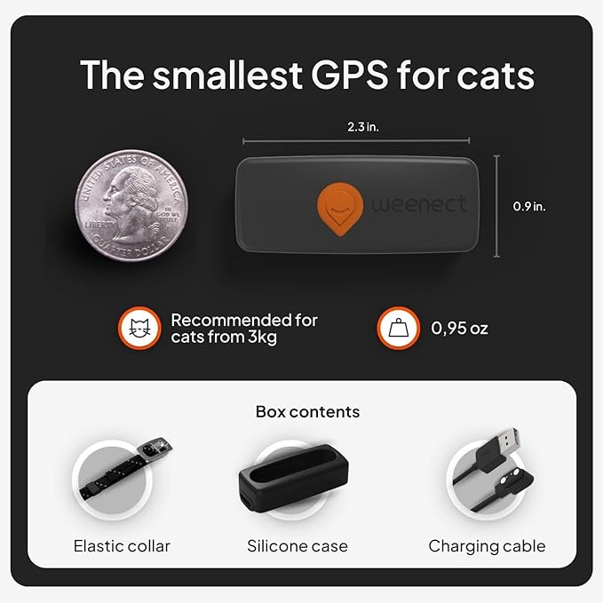 Weenect Cat XS - New GPS Tracker for Cats | Real-time Mini GPS Tracker for Cats | Smallest Model on The Market | Collar Included | Subscription Required (Black, Tracker XS)
