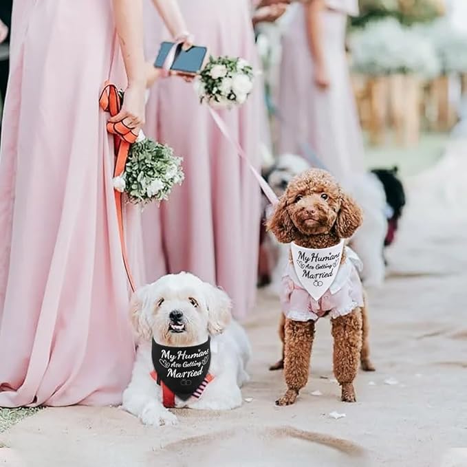 SZEE 2 Pack My Humans are Getting Married Dog Bandanas, Wedding or Engagement Gift for Couples, Dog Wedding Bandanas, Bridal Shower Gifts for Bride, Engagement Party Decorations (White & Black, S)