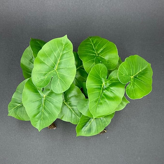 Smoothedo-Pets Fish Tank Decor Aquarium Decorations Ornaments Betta Leaf pad Hammock 6inch Plastic Artificial Plant Goldfish Fish Hides Small Tank/Reptiles Plants Driftwood (Green-Type-A-Set)