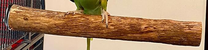 Polly's Hardwood Bird Perch, X-Large