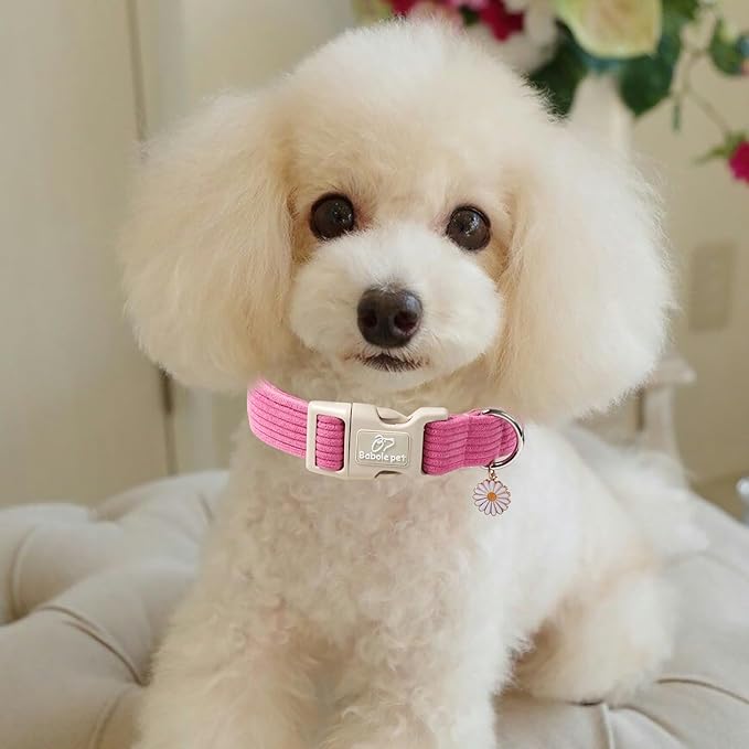 Cute Corduroy Dog Collar - Deep Rose Adjustable Dog Collars for X-Small Dogs 4-10lbs, Fade-Proof with Secure Snap & Little Charm, Christmas Birthday Gift, XS