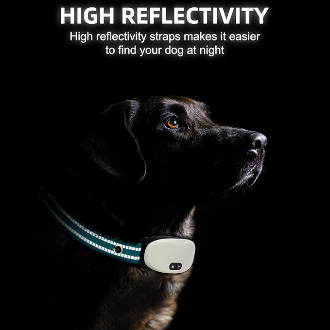 Collar Replacement Strap, Reflective Replacement Nylon Collar Strap Dog GPS Training Bark Receiver Collars, Durable Adjustable E Collar Straps for Small Medium Large Dogs, Green